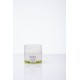Moisturizing face cream with aloe vera